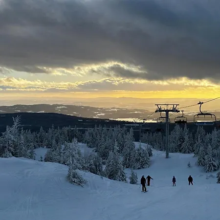 Magiske Vinterdage I Sjusjoen Vakantiehuis
