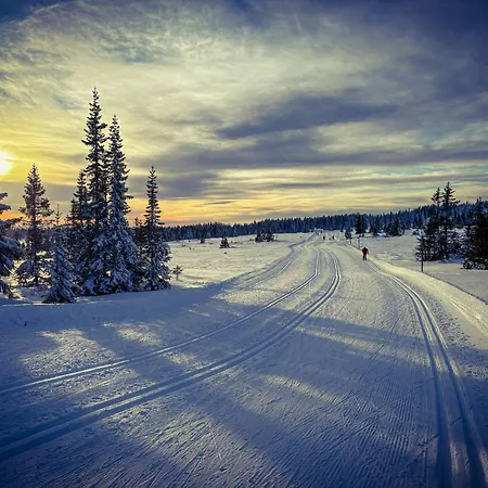 Magiske Vinterdage I Sjusjoen
