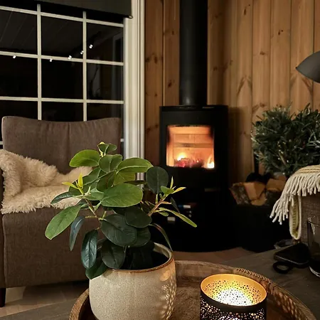 Magiske Vinterdage I Sjusjoen