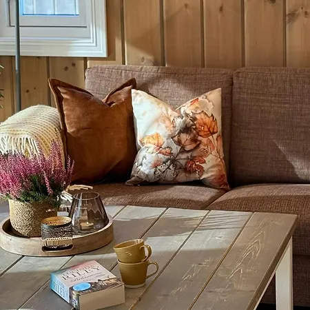 Magiske Vinterdage I Sjusjoen