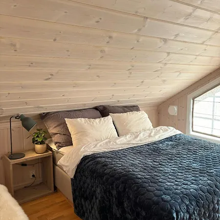 Magiske Vinterdage I Sjusjoen Vakantiehuis Mesnali