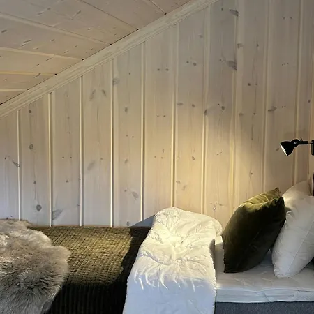 Magiske Vinterdage I Sjusjoen *