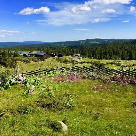Magiske Vinterdage I Sjusjoen Mesnali