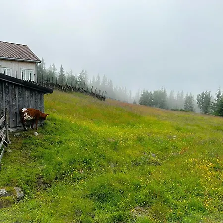 Magiske Vinterdage I Sjusjoen *
