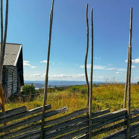 Magiske Vinterdage I Sjusjoen
