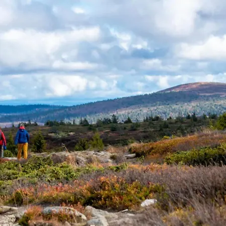 Magiske Vinterdage I Sjusjoen * Mesnali