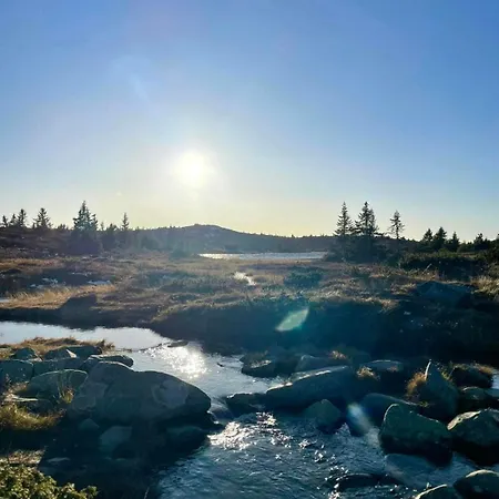 Magiske Vinterdage I Sjusjoen 別荘 *