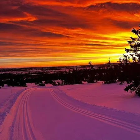 Magiske Vinterdage I Sjusjoen 別荘 Mesnali
