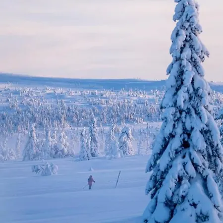 別荘 Magiske Vinterdage I Sjusjoen